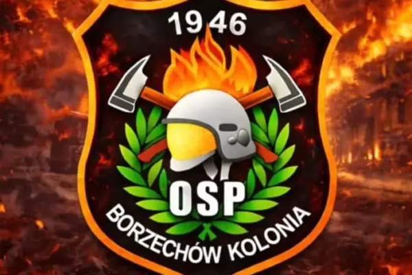 Strażacy z OSP Borzechów Kolonia oddali hołd poległym w Nisku