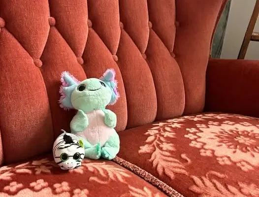 Pluszaki Aksolot i Zebra już czekają na Nocowankę w Bibliotece w Jabłonnie