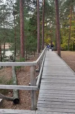 Wycieczka świetlicy na Bukową Górę i wyschnięte stawy Echo – refleksja nad zmianami klimatu