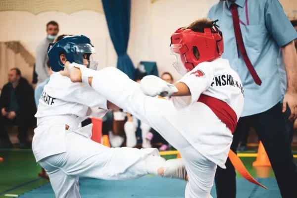 XVIII Puchar Lubelszczyzny w Karate Tradycyjnym rozegrany w Kalinówce